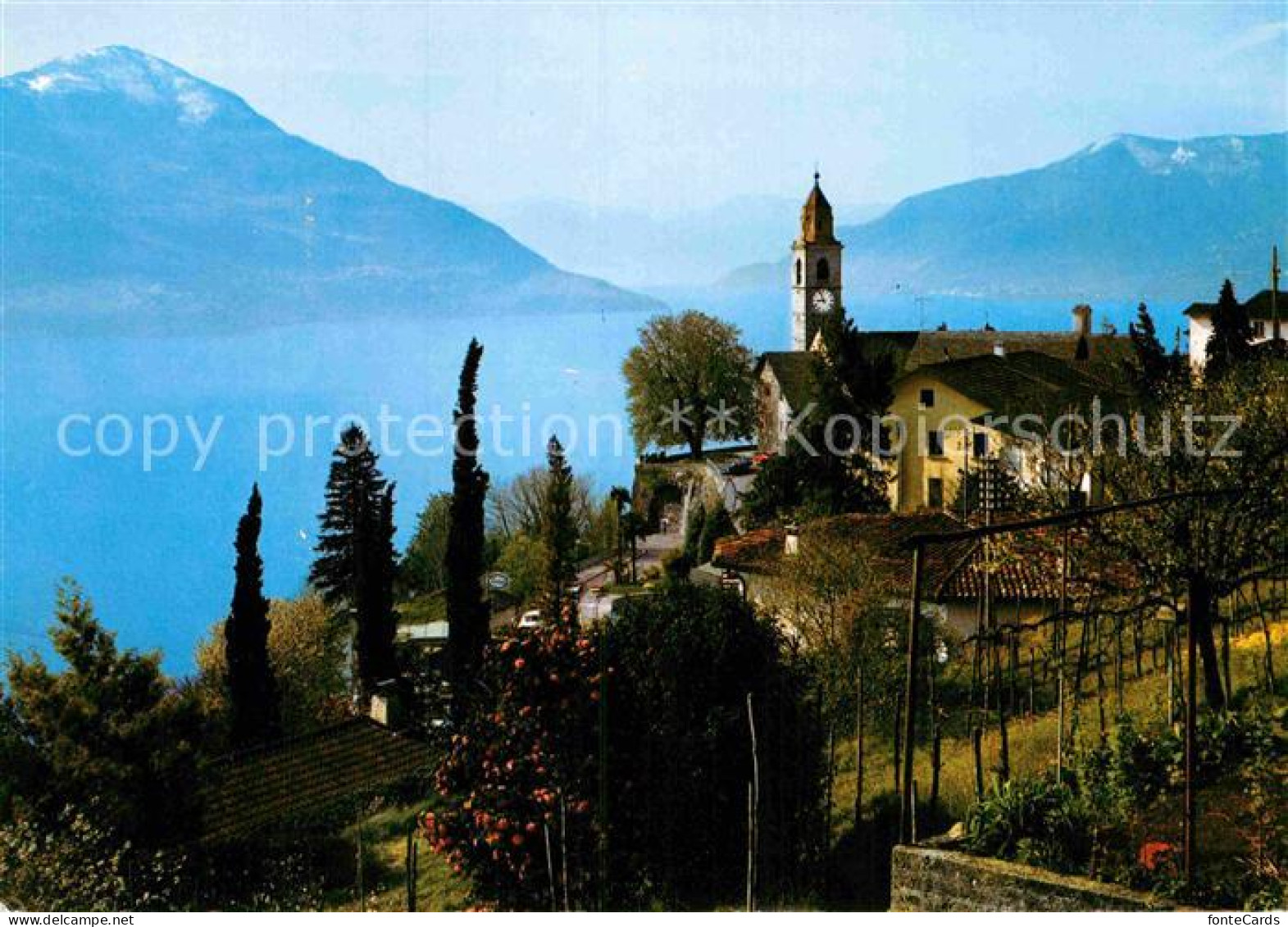 12884037 Ronco Sopra Ascona Ortsmotiv Mit Kirche Lago Maggiore Alpen Ronco Sopra - Other & Unclassified