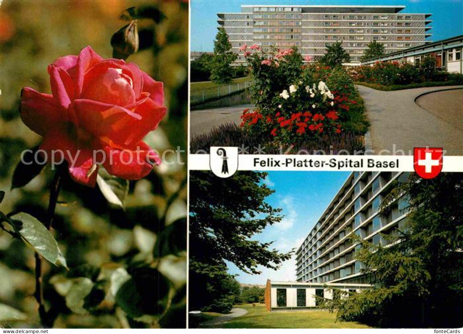 12859119 Basel BS Felix Platter Spital Basel - Sonstige & Ohne Zuordnung