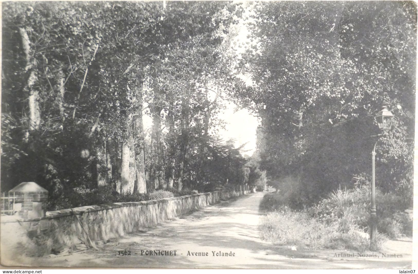 C. P. A. : 44 : PORNICHET : Avenue Yolande - Pornichet