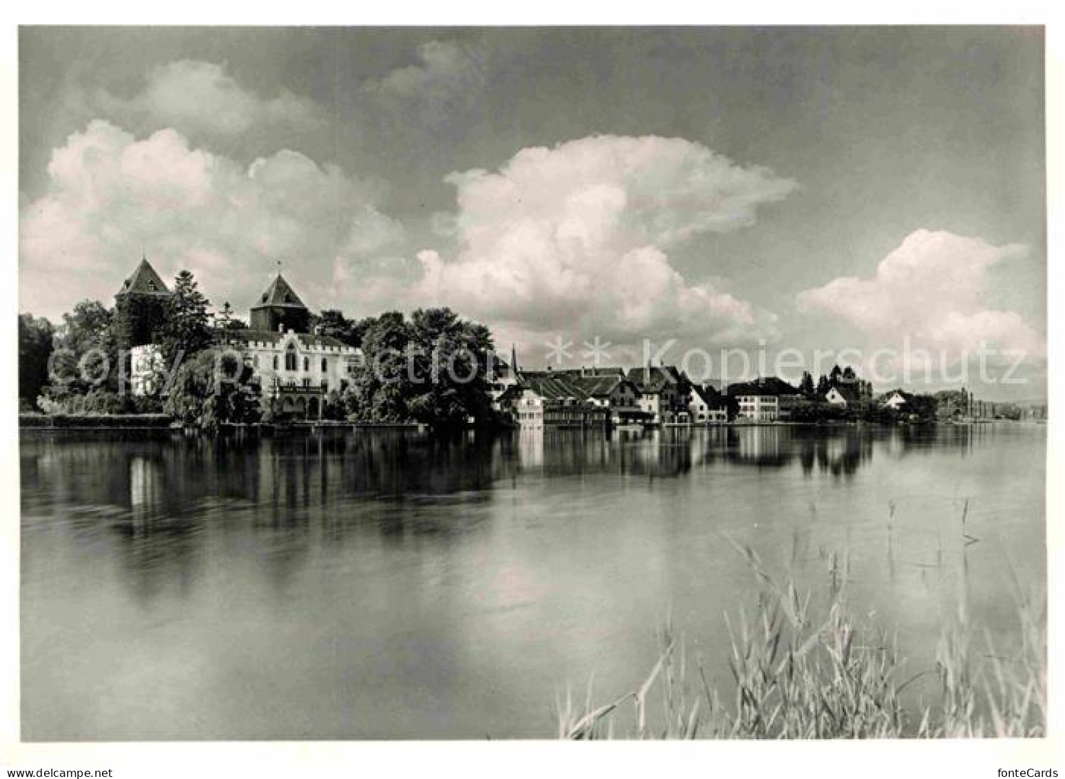 12858957 Gottlieben Schloss Am Untersee Bodensee Gottlieben - Autres & Non Classés