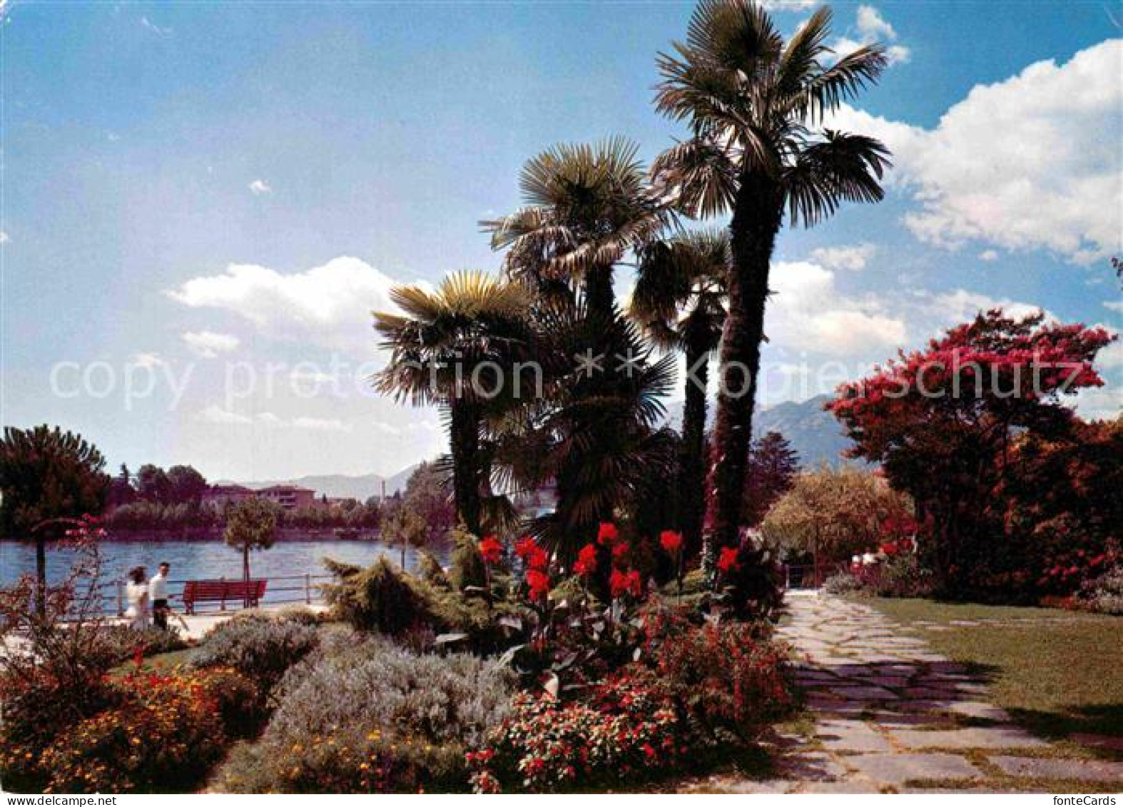 12858337 Locarno Lago Maggiore Quai Locarno - Andere & Zonder Classificatie