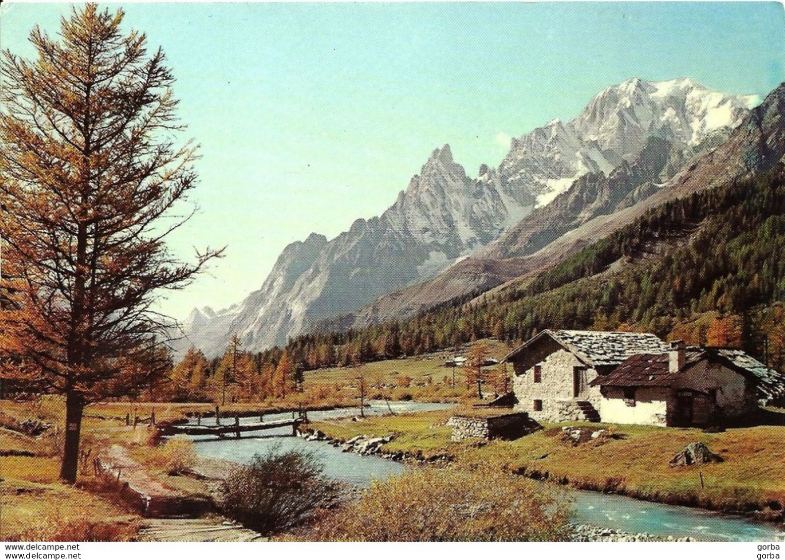 *CPM - Paysage De Montagnes - Les Alpes - Rhône-Alpes