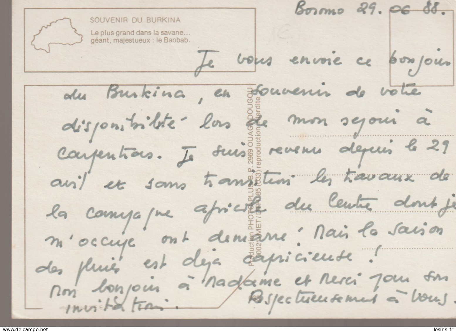 C.P. - PHOTO - SOUVENIR DU BURKINA - LE PLUS GRAND DANS LA SAVANE GEANT MAJESTUEUX - LE BOABAB - PHOTOPLUS - 038 - Burkina Faso