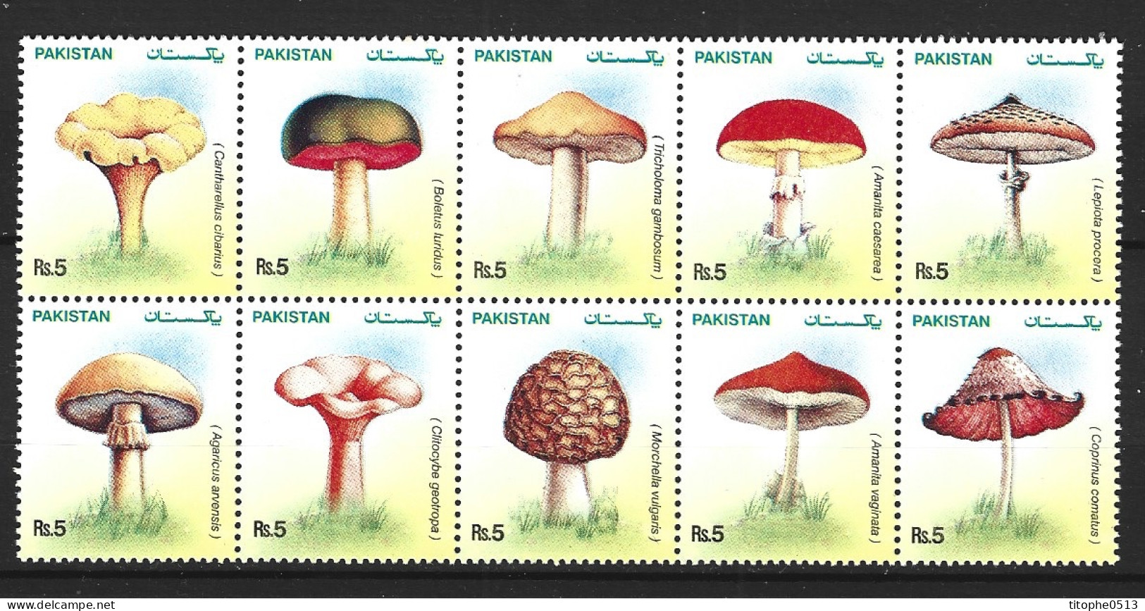 PAKISTAN. N°1199-1208 De 2005. Champignons. - Mushrooms