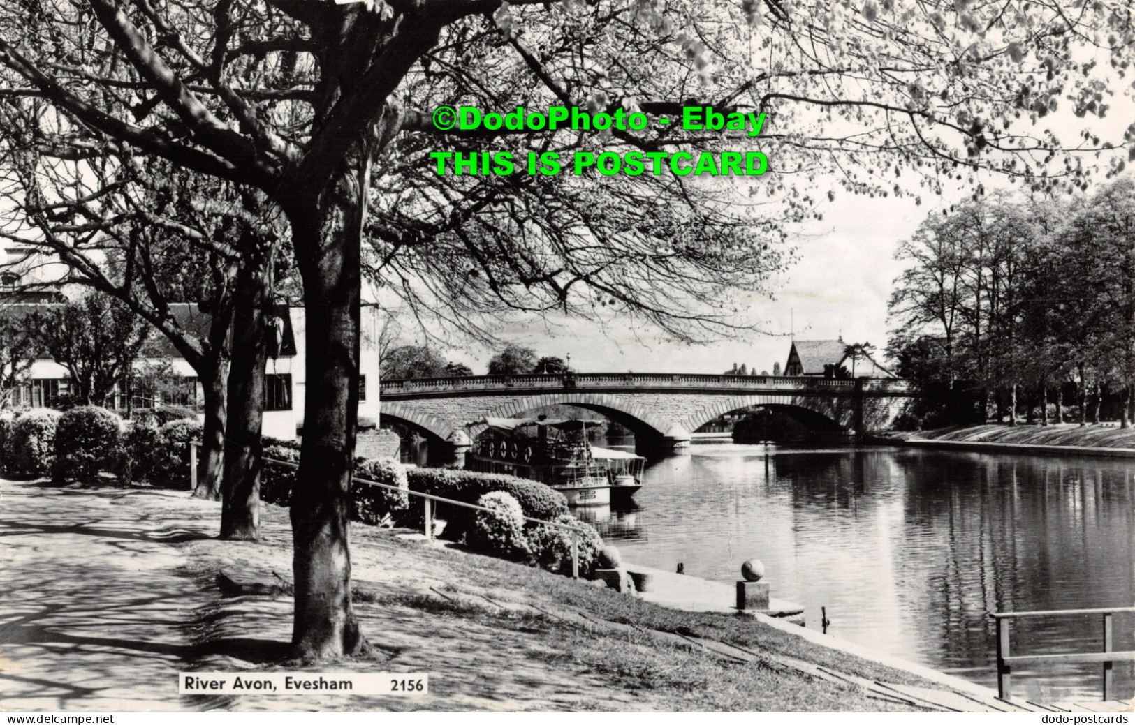 R359650 Evesham. River Avon. St. Albans Series. RP. 1961 - Monde