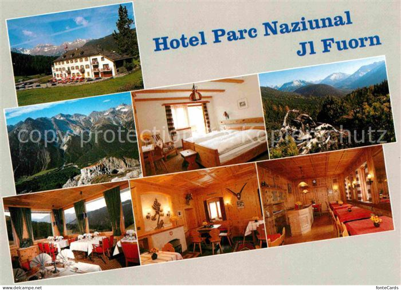 12814129 Il Fuorn Hotel Parc Naziunal St Moritz - Otros & Sin Clasificación