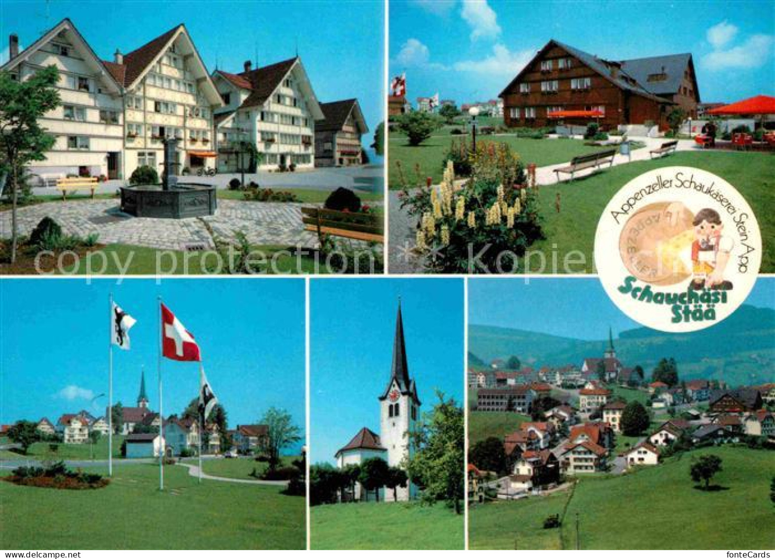 12813969 Stein AR Appenzeller Schaukaeserei Stein  Stein AR - Autres & Non Classés