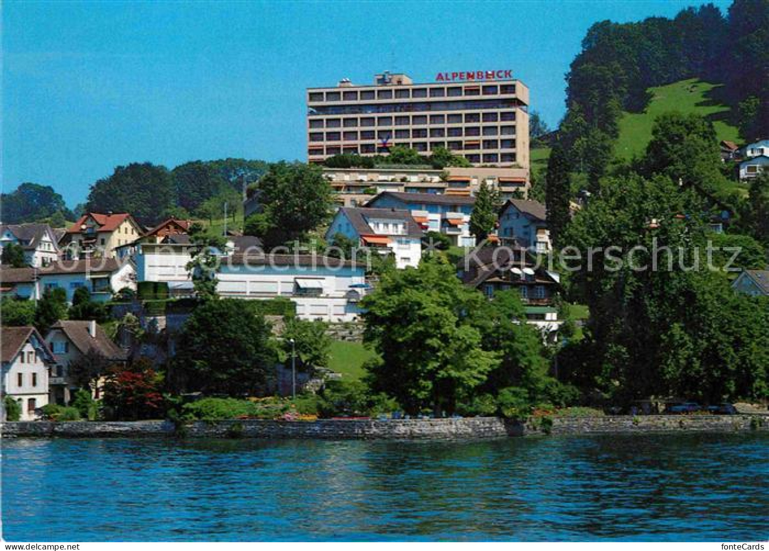 12802697 Weggis Vierwaldstaettersee Hotel Restaurant Alpenblick  Weggis - Other & Unclassified