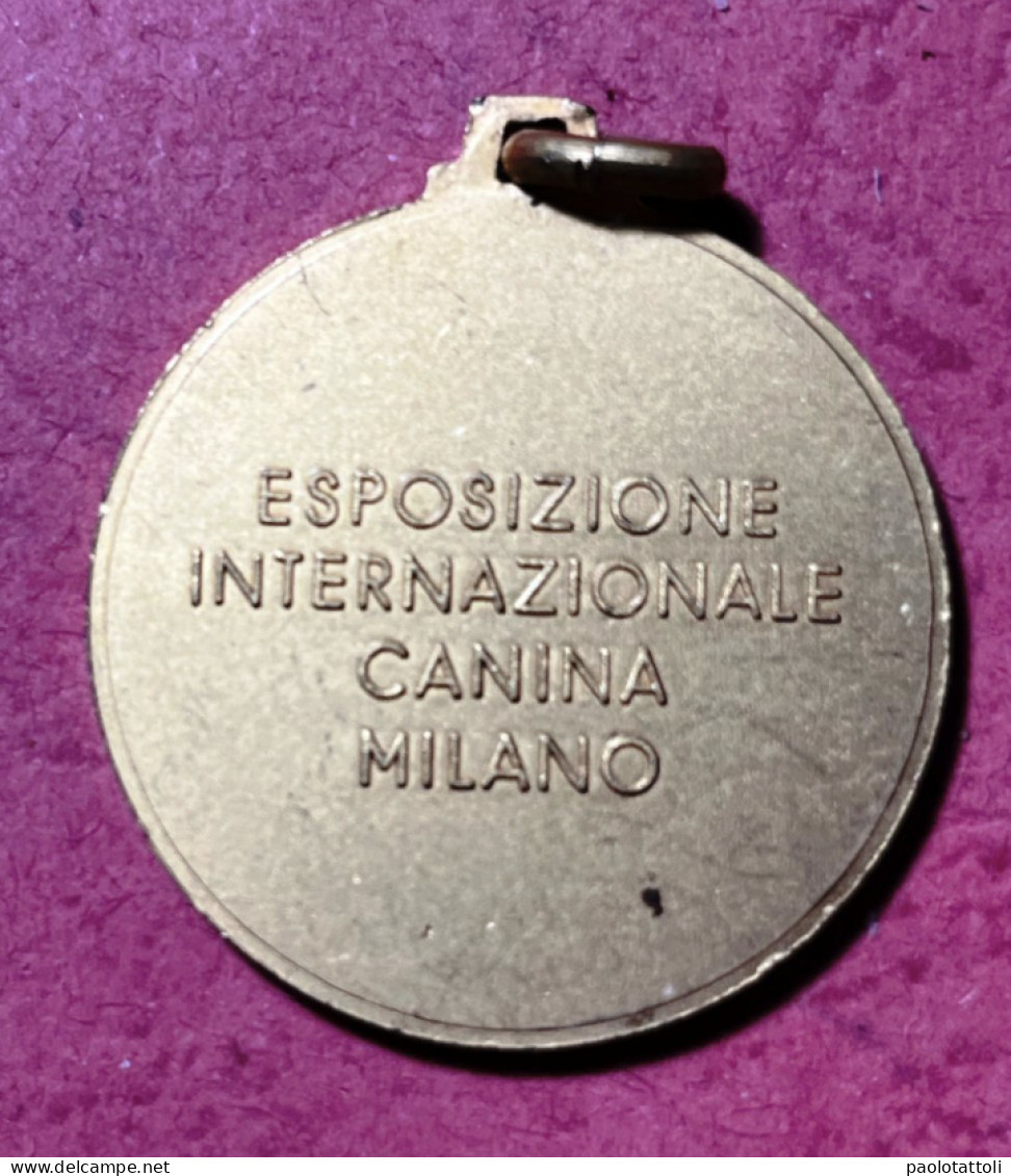 Medaglia ENCI. Ente Nazionale Cinofia Italiana. Esposizione Internazionale Canina. Milano Diam. 32mm. - Firma's