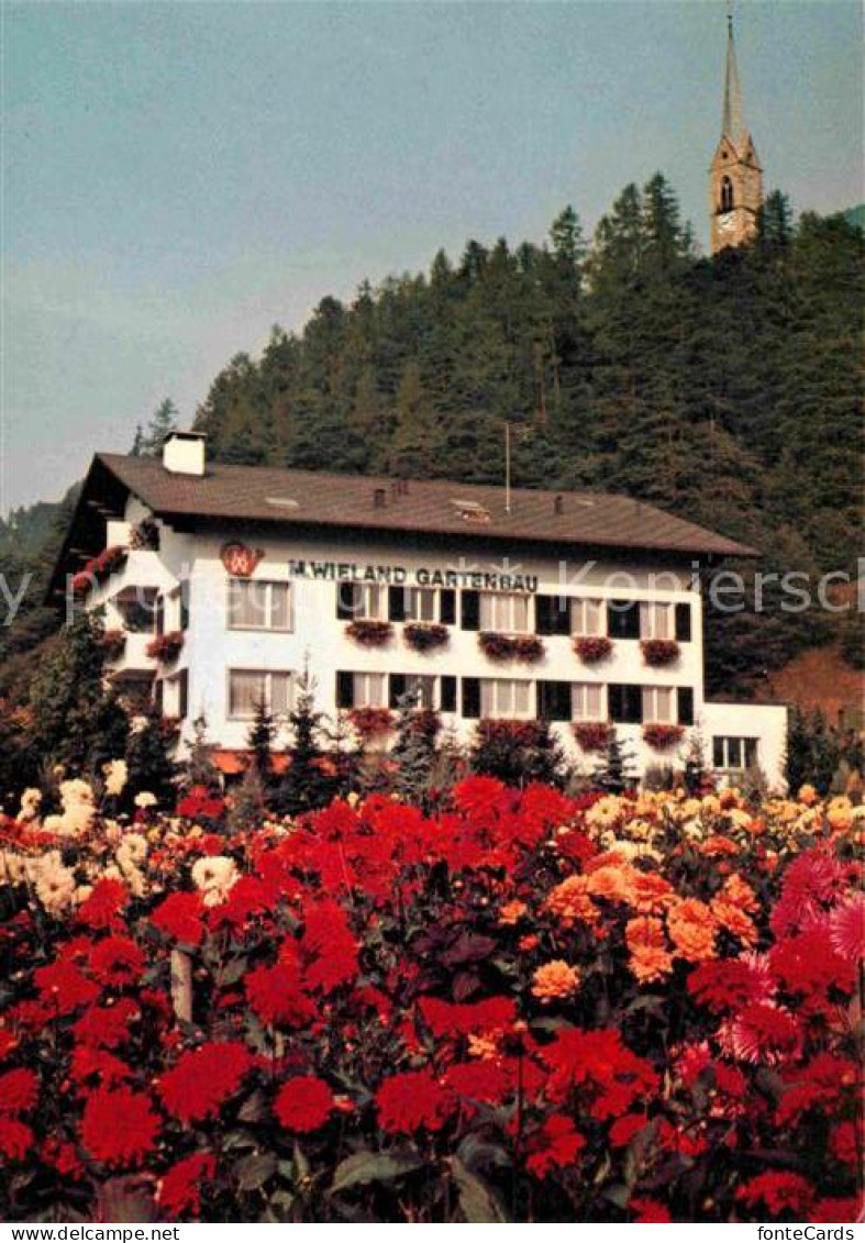 12796657 Tamins Kirche Blumenschau Geschaeftshaus Tamins - Sonstige & Ohne Zuordnung