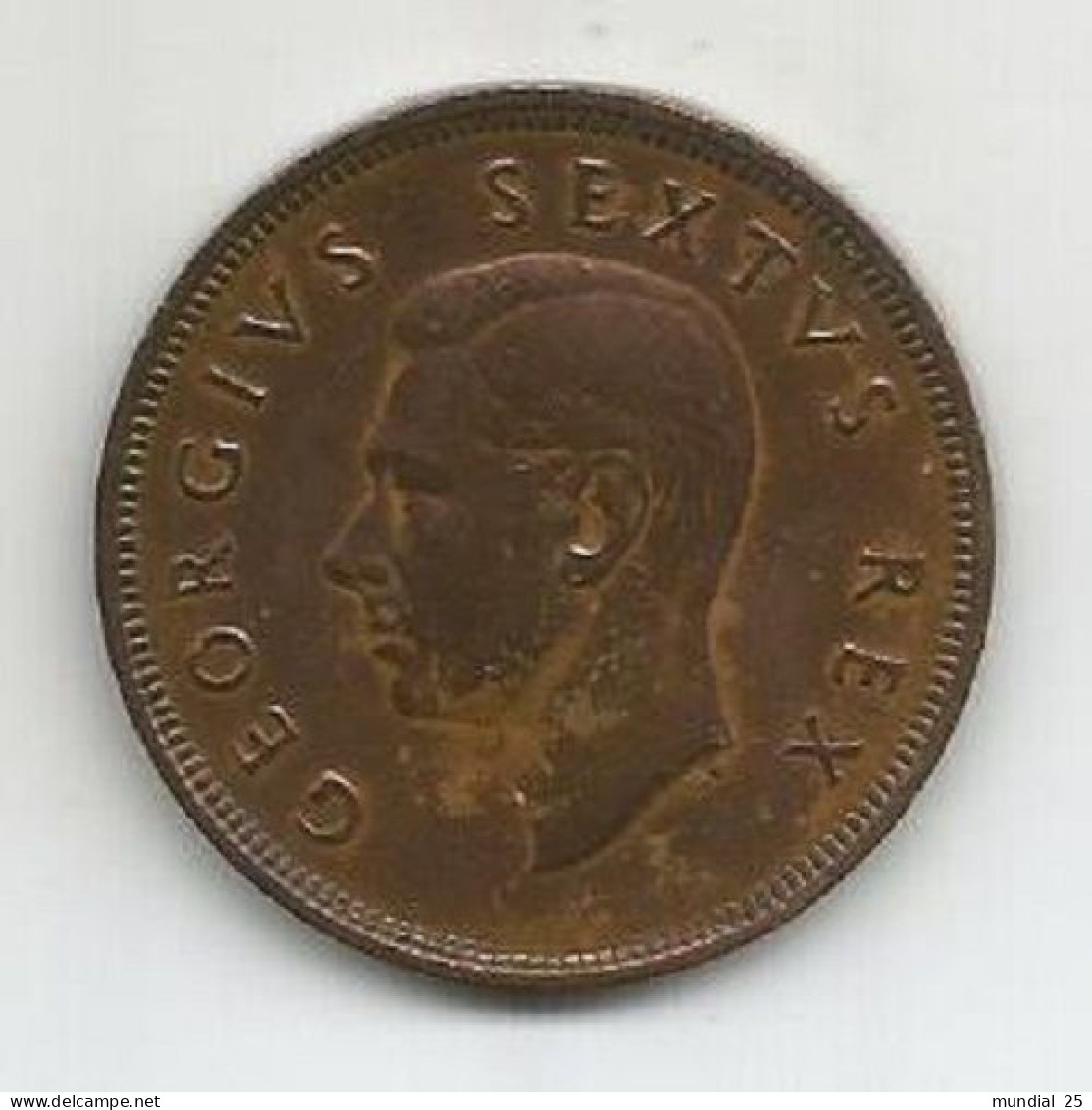 SOUTH AFRICA 1 PENNY 1950 - Sud Africa