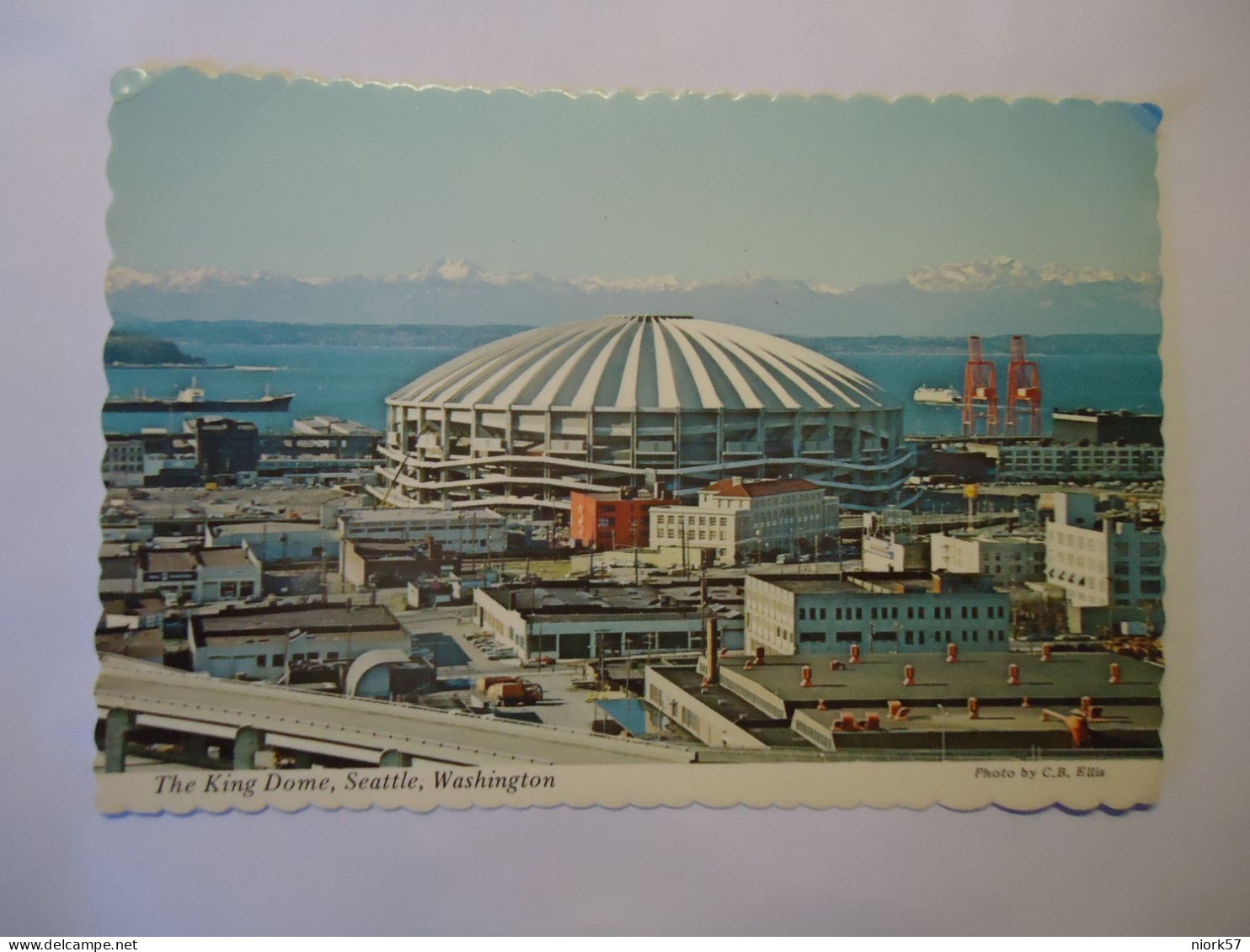 UNITED STATES    POSTCARDS  WHASHINGTON  THE KING DOME SEATTLE - Sonstige & Ohne Zuordnung