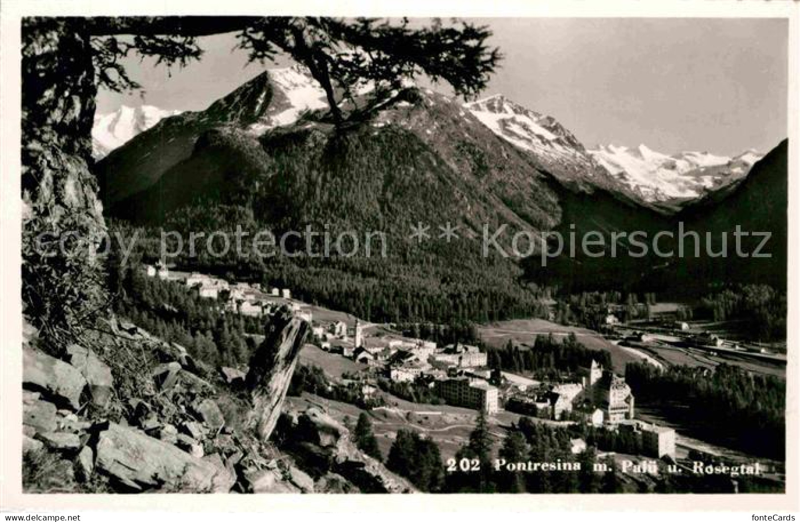 12786959 Pontresina Panorama Blick Zu Piz Palue Berninagruppe Rosegtal Pontresin - Sonstige & Ohne Zuordnung