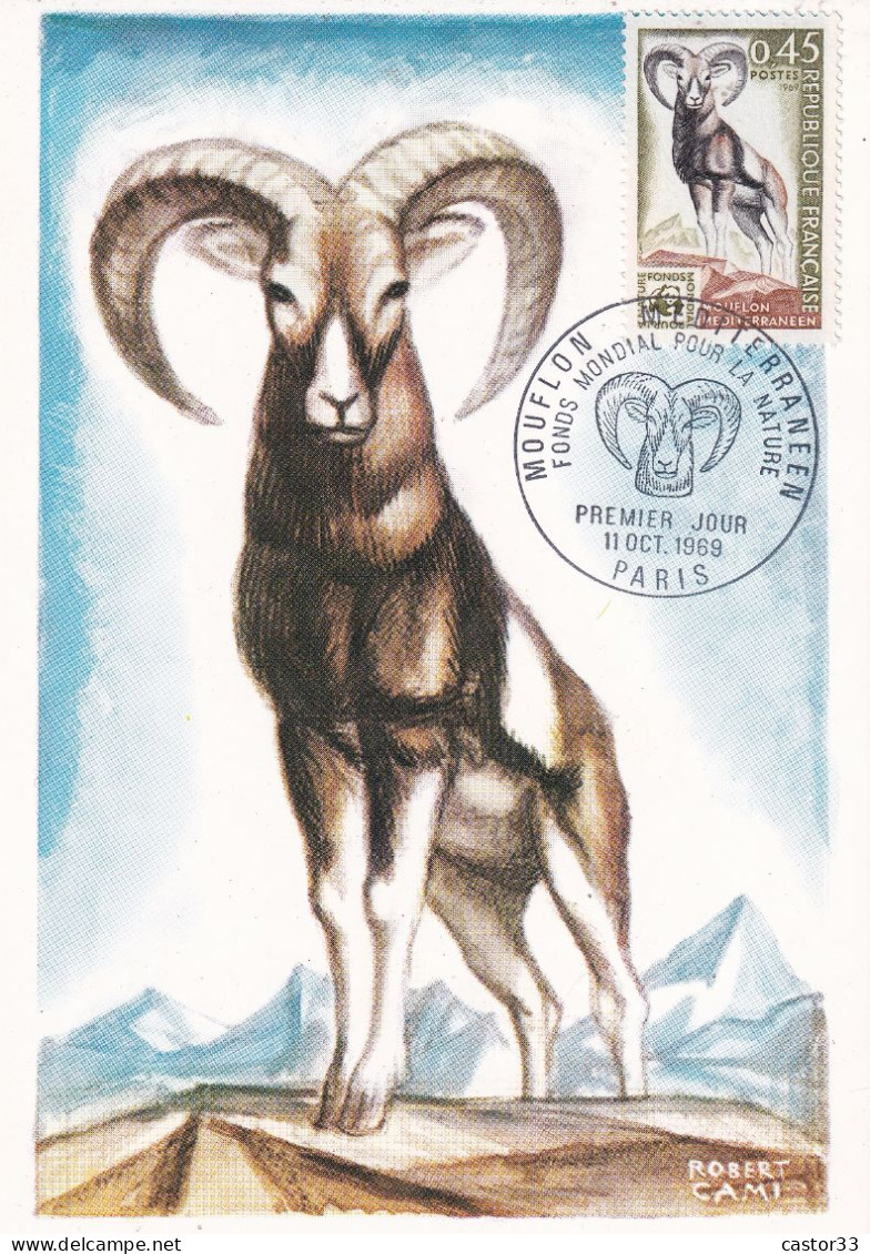 1er Jour, Mouflon Méditerranéen, Fonds Mondial Pour La Nature - 1960-1969