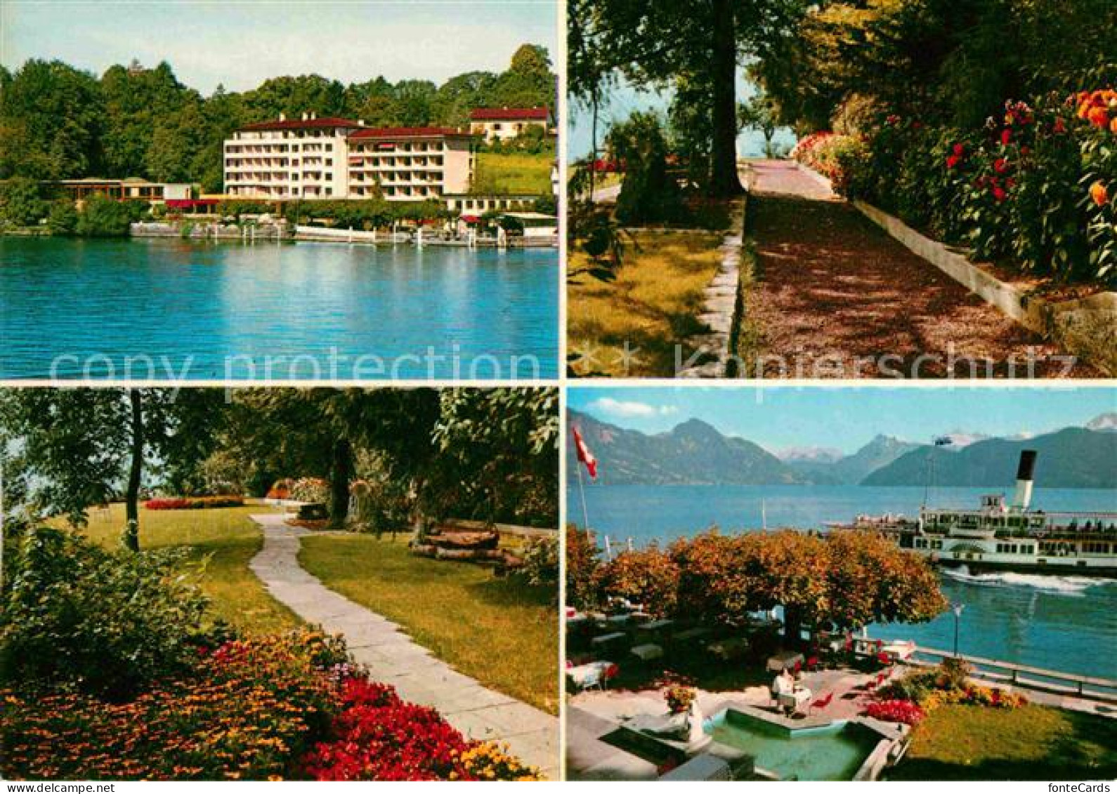 12781897 Weggis Vierwaldstaettersee Hotel Hertenstein Am Vierwaldstaettersee Par - Sonstige & Ohne Zuordnung