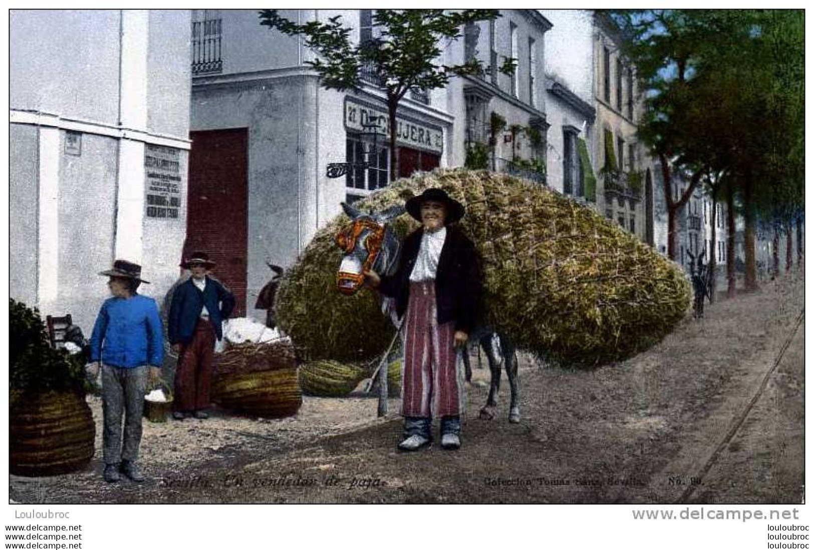 SEVILLA UN VENDEDOR DE PAJA COLL TOMAS SANZ - Sevilla (Siviglia)