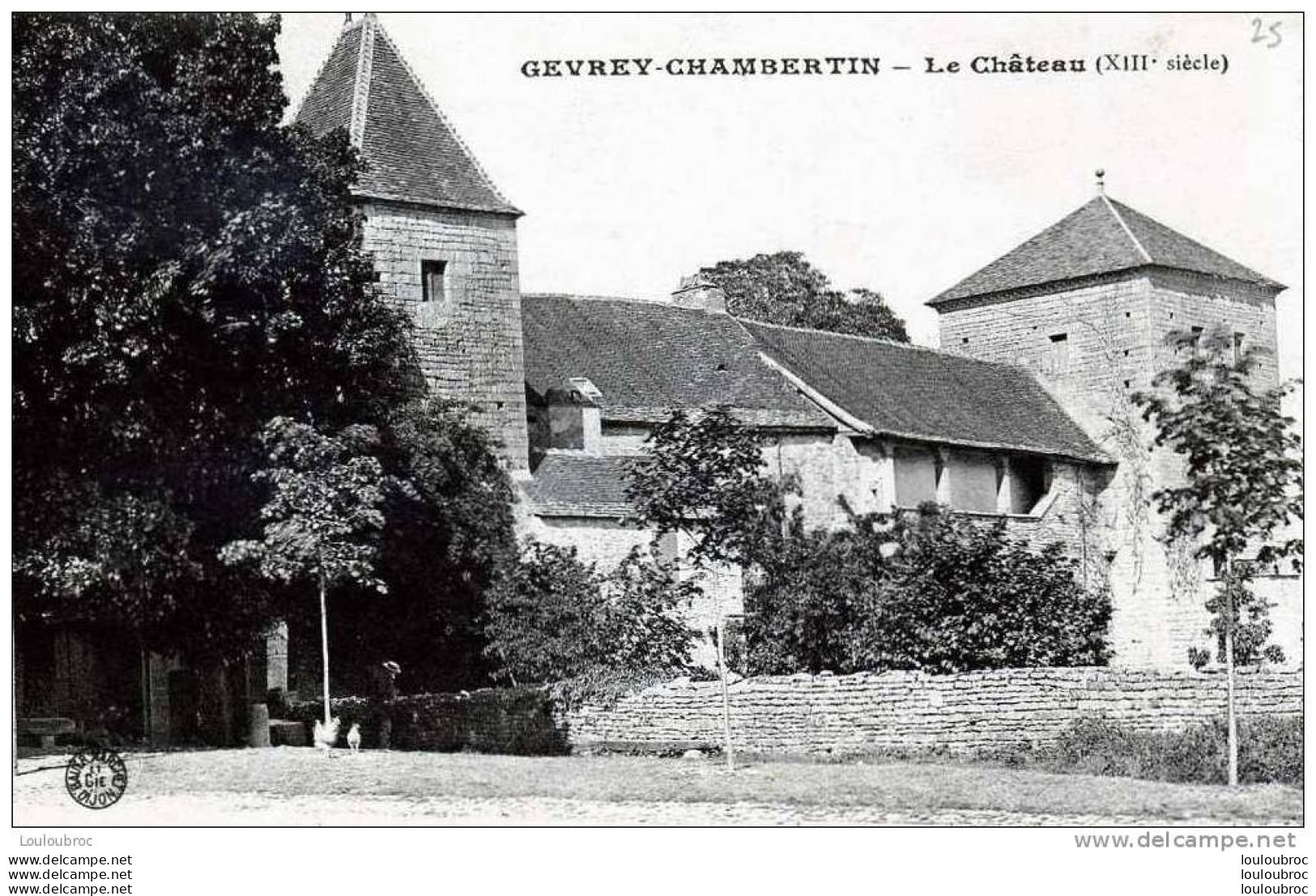 21 GEVREY CHAMBERTIN CHATEAU - Gevrey Chambertin