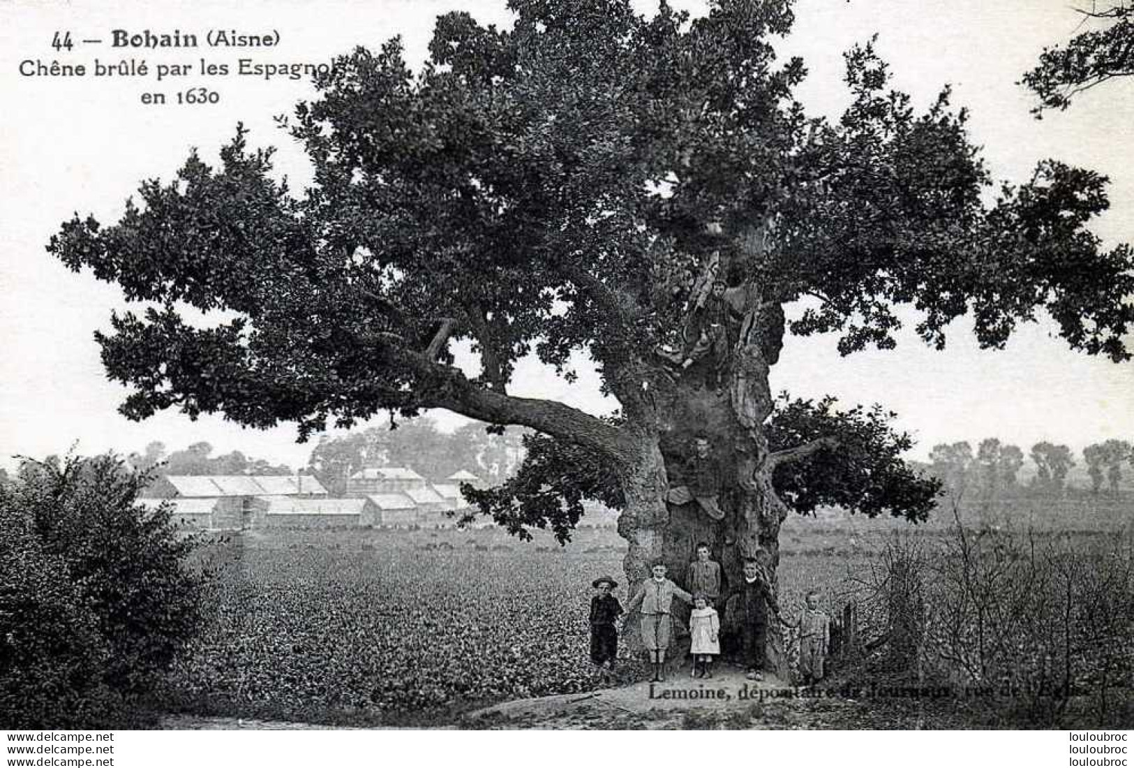 02 BOHAIN CHENE BRULE - Autres & Non Classés