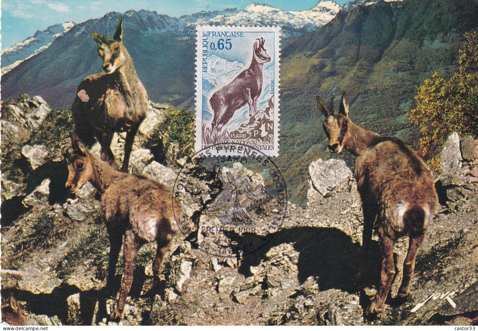 1er Jour, ISARD, Parc National Des Pyrénées Occidentales - 1970-1979