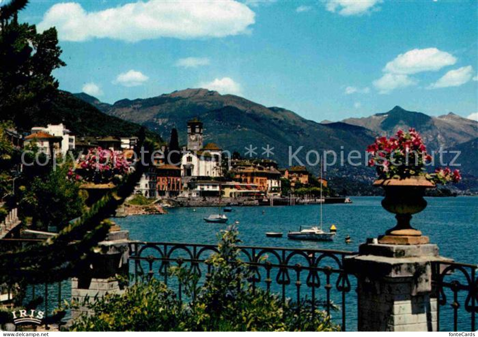 12775609 Brissago TI Lago Maggiore Panorama Brissago - Altri & Non Classificati