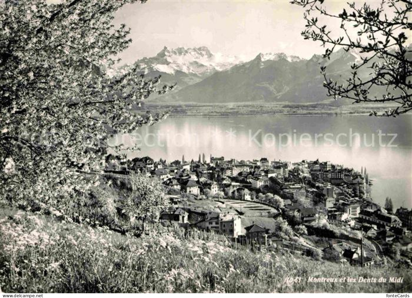 12775529 Montreux VD Dents Du Midi Montreux - Andere & Zonder Classificatie