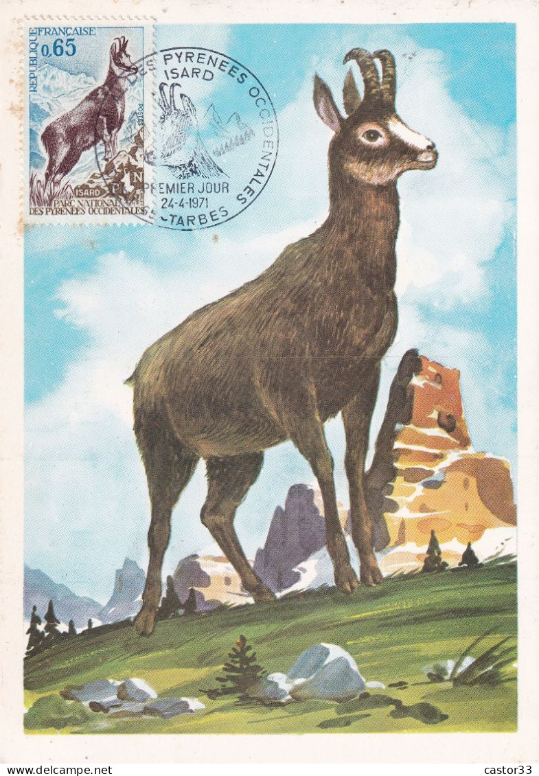 1er Jour, ISARD, Parc National Des Pyrénées Occidentales - 1970-1979