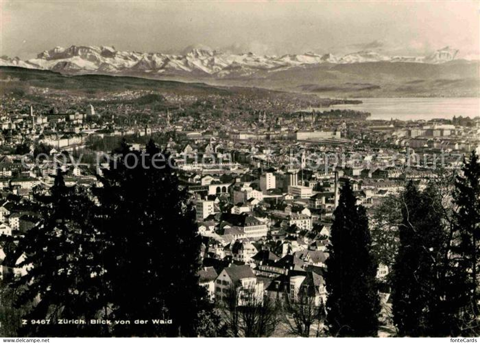 12769829 Zuerich ZH Panorama Blick Von Der Waid Alpenkette Zuerich - Other & Unclassified