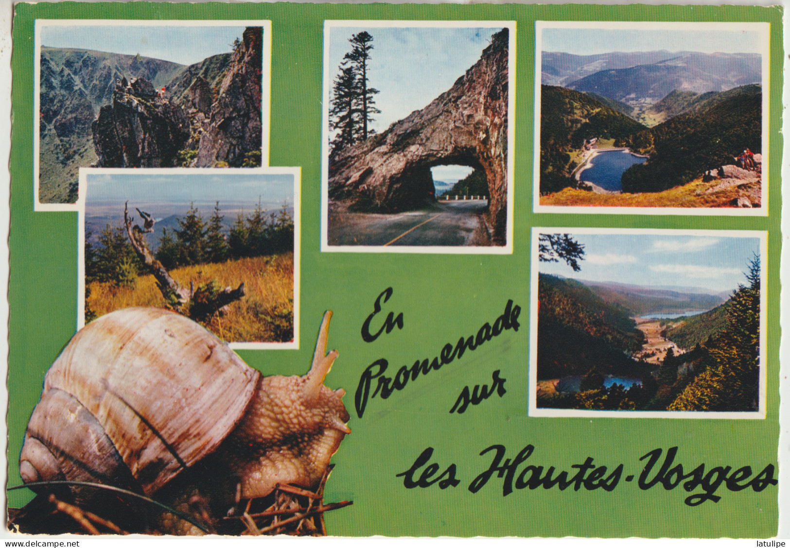 Sarrebourg  57 Carte Circulée Timbrée  Multivues ( 6 )  Souvenirs En Promenade Sur Les Hautes Vosges - Sarrebourg