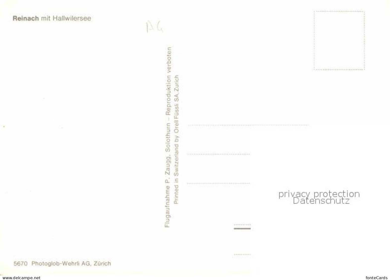 12768087 Reinach AG Fliegeraufnahme Mit Hallwilersee Reinach AG - Other & Unclassified