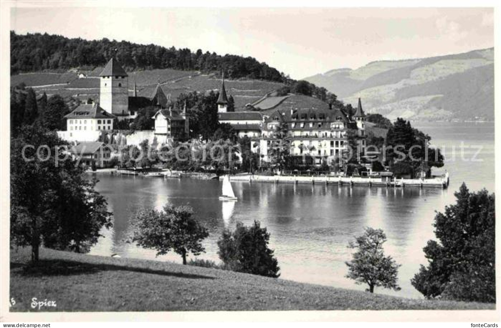 12766437 Spiez BE Partie Am Thunersee Spiez - Altri & Non Classificati