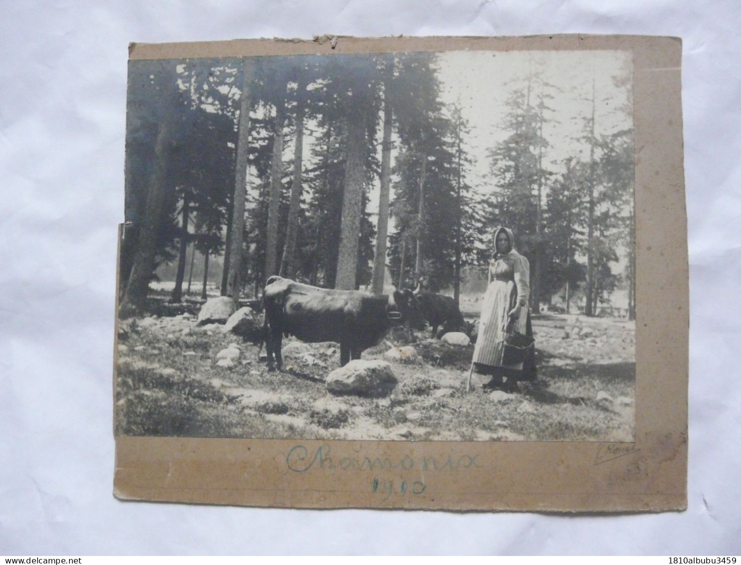 SUPERBE PHOTO ANCIENNE ( 22 X 16,5 Cm) - CHAMONIX  : Scène Animée - Fermière - Animaux - 1910 - Plaatsen