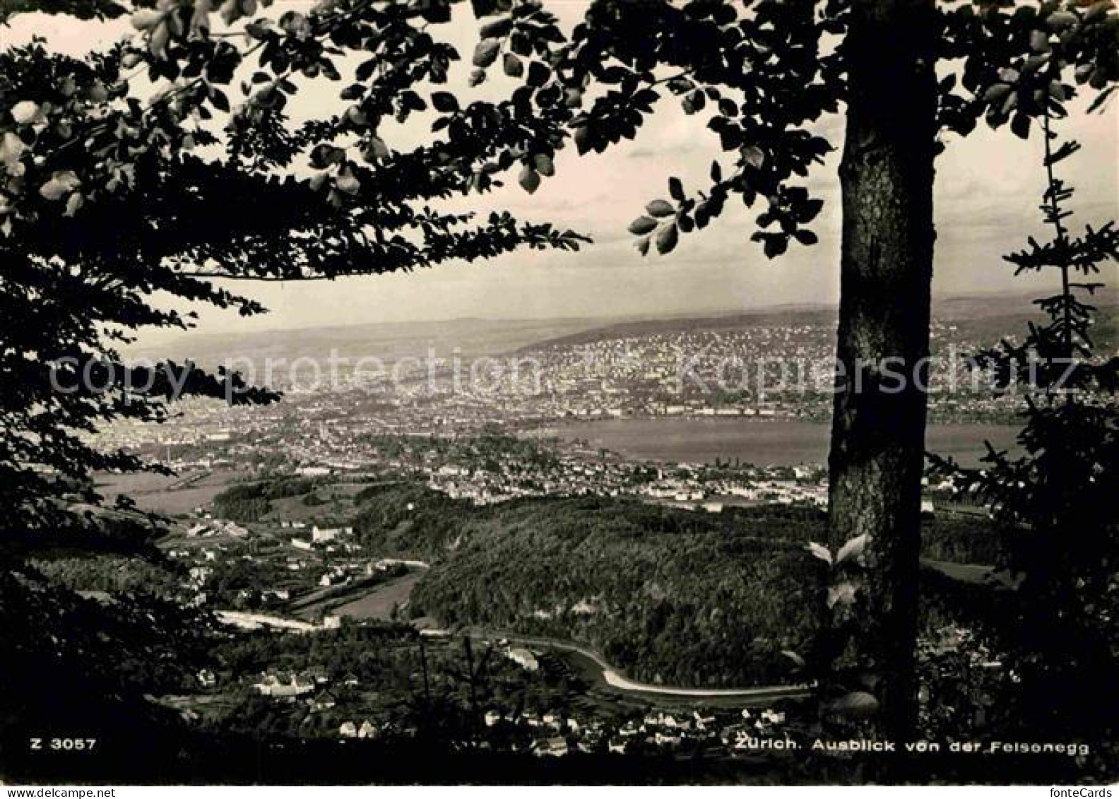 12764309 Zuerich ZH Blick Vom Felsenegg Zuerich - Sonstige & Ohne Zuordnung