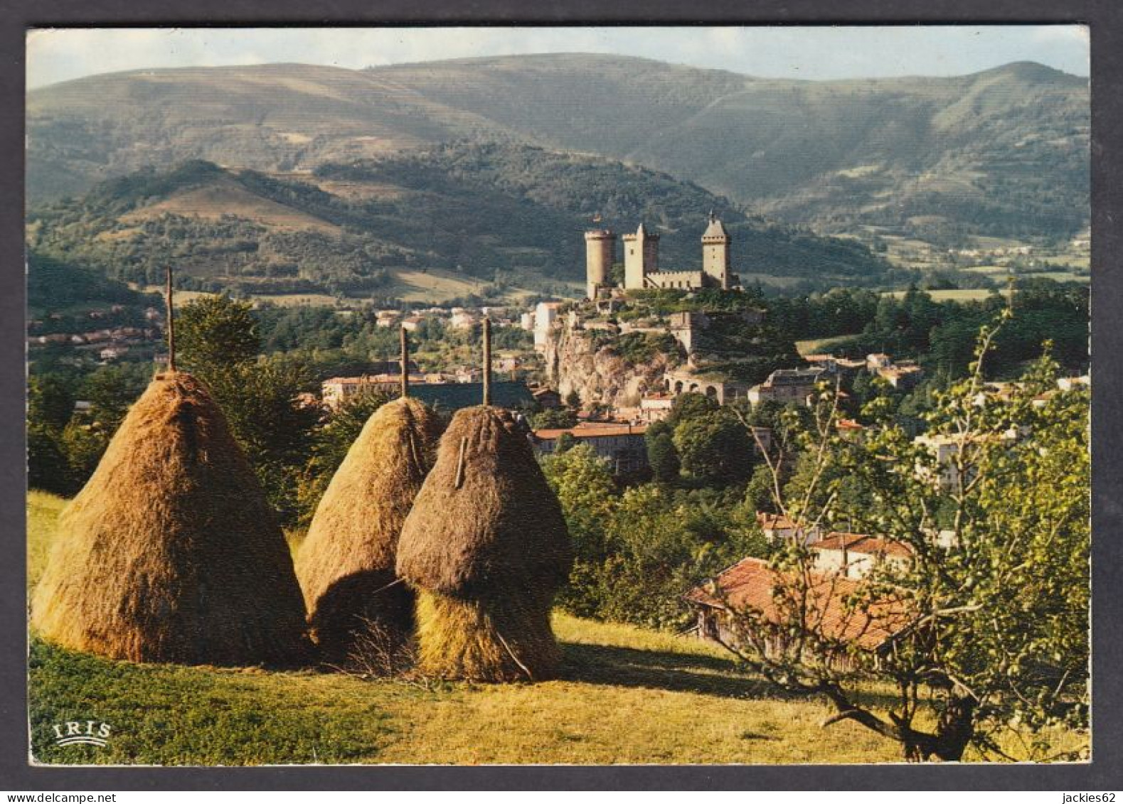 124178/ FOIX, La Ville Et Le Château - Foix