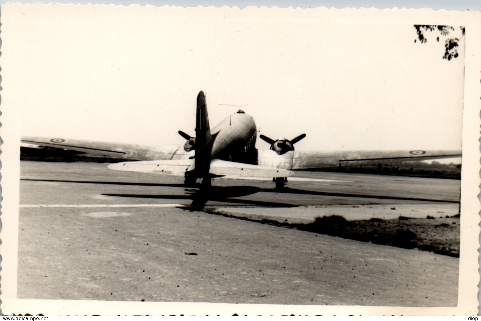CP Carte Photo D&#039;&eacute;poque Photographie Vintage Avion Aviation Bimoteur - Luftfahrt