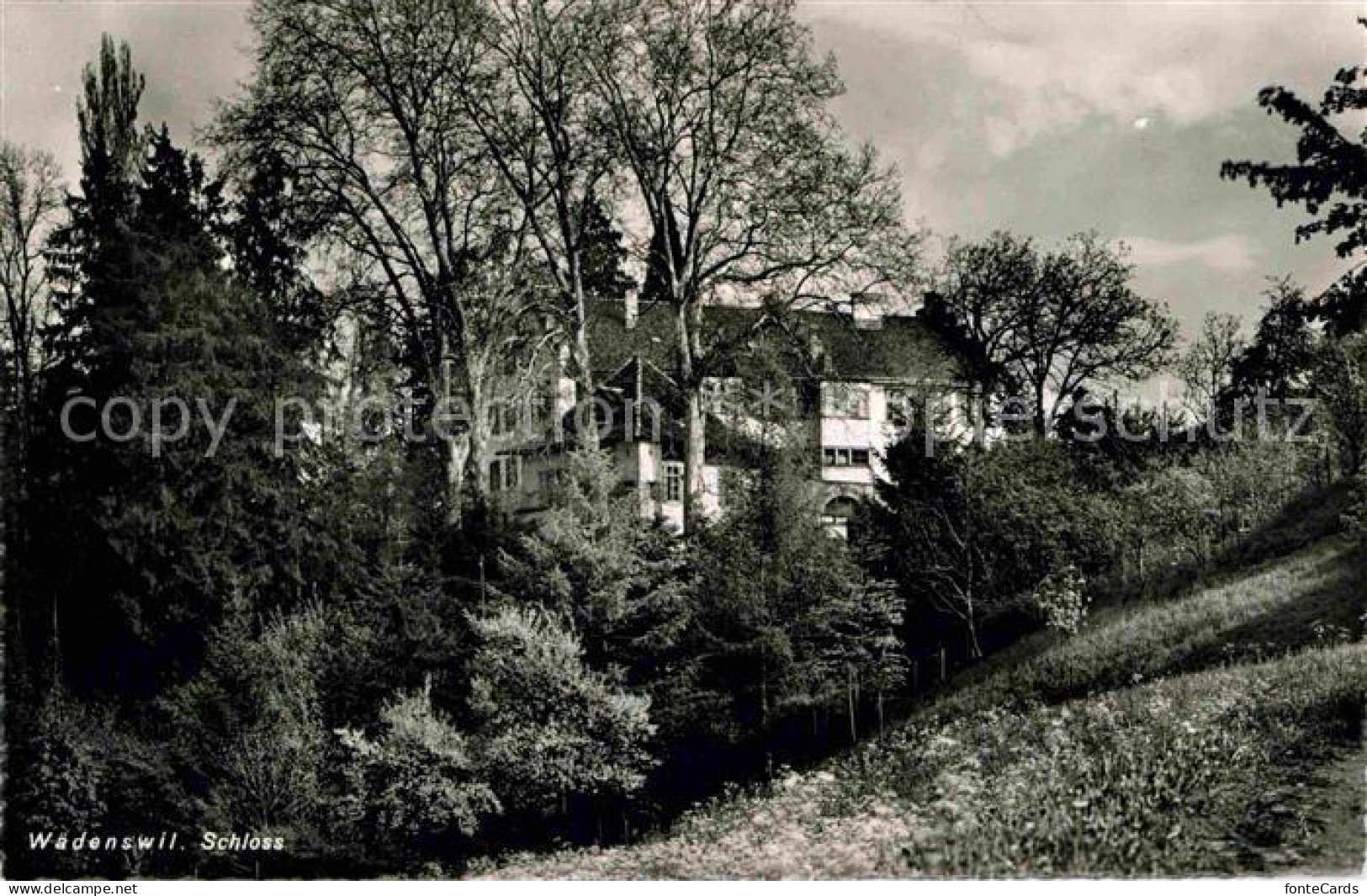 12740739 Waedenswil Schloss Waedenswil - Andere & Zonder Classificatie