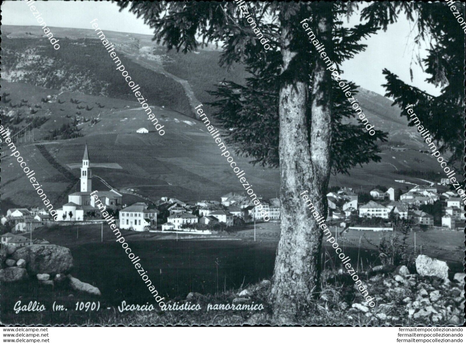 Bl514 Cartolina Gallio Scorcio Panoramico Provincia Di Vicenza - Vicenza