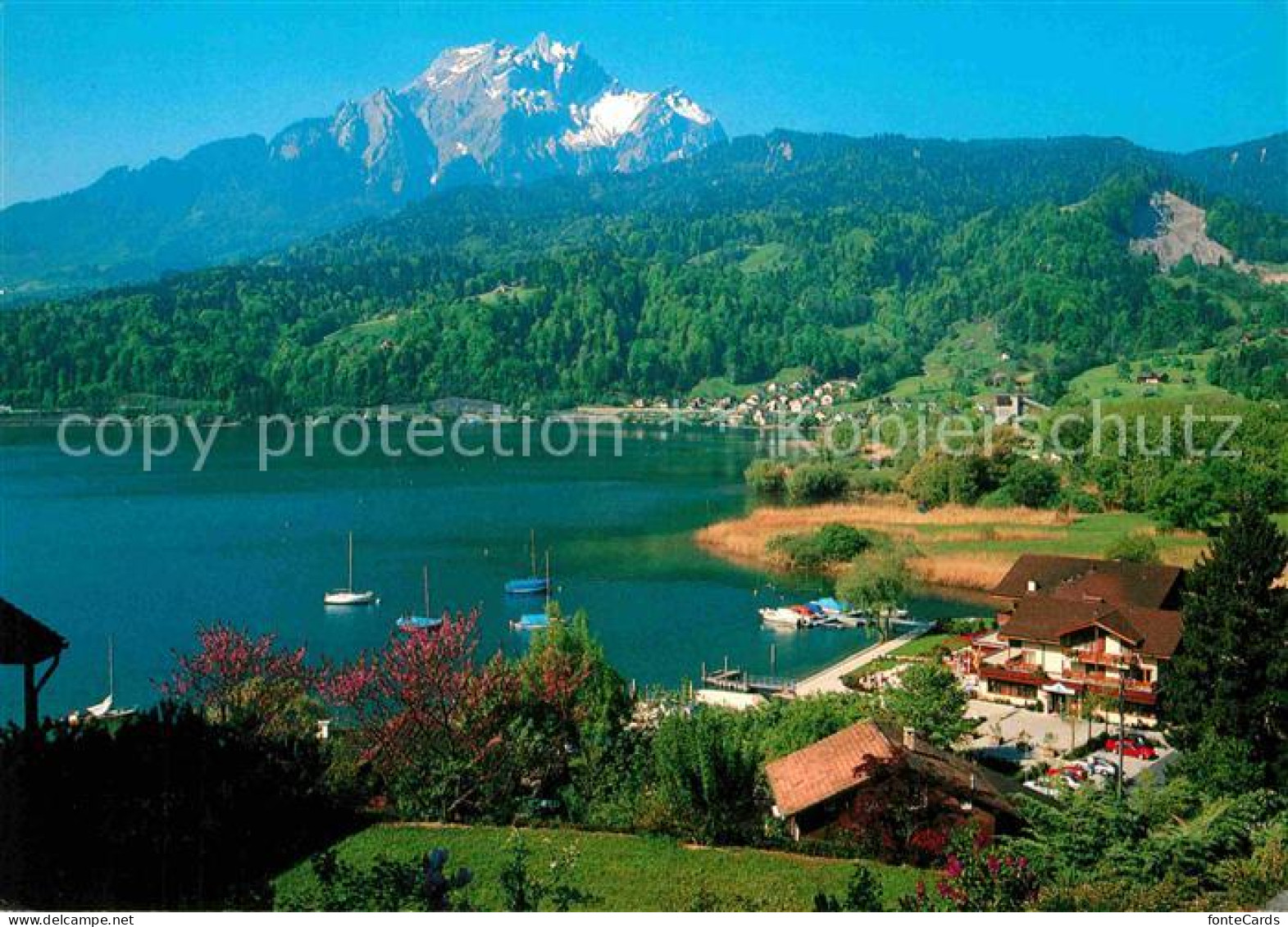 12737587 Horw Seehotel Sternen Am Vierwaldstaettersee Alpenblick Horw - Other & Unclassified