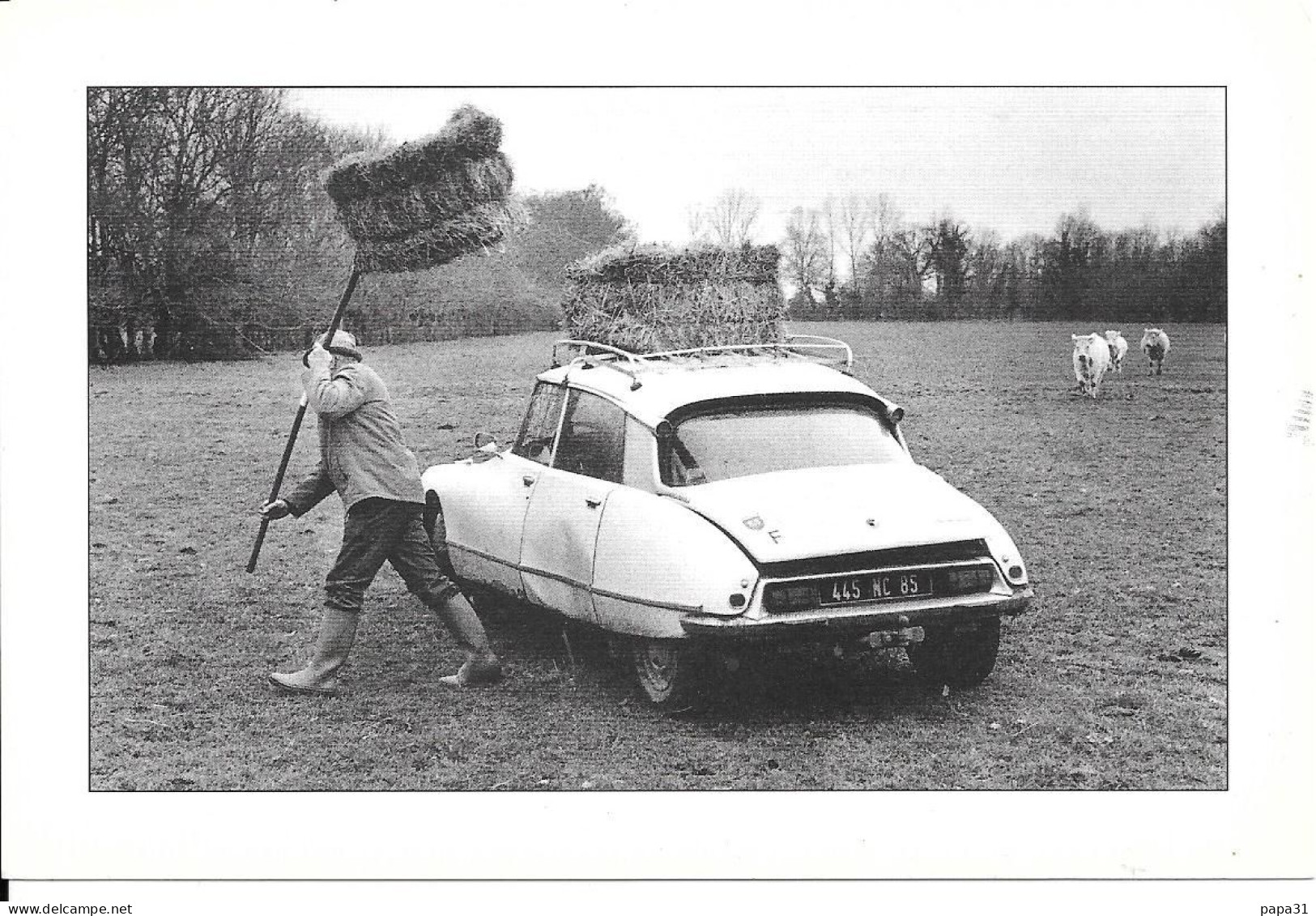 Une DS Citroën Portant Des Balles De Paille Dans Un Champ - PKW