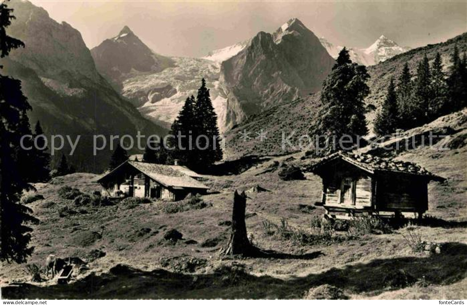 12732977 Rosenlaui BE Kaltenbrunneralp Rosenlaui - Other & Unclassified