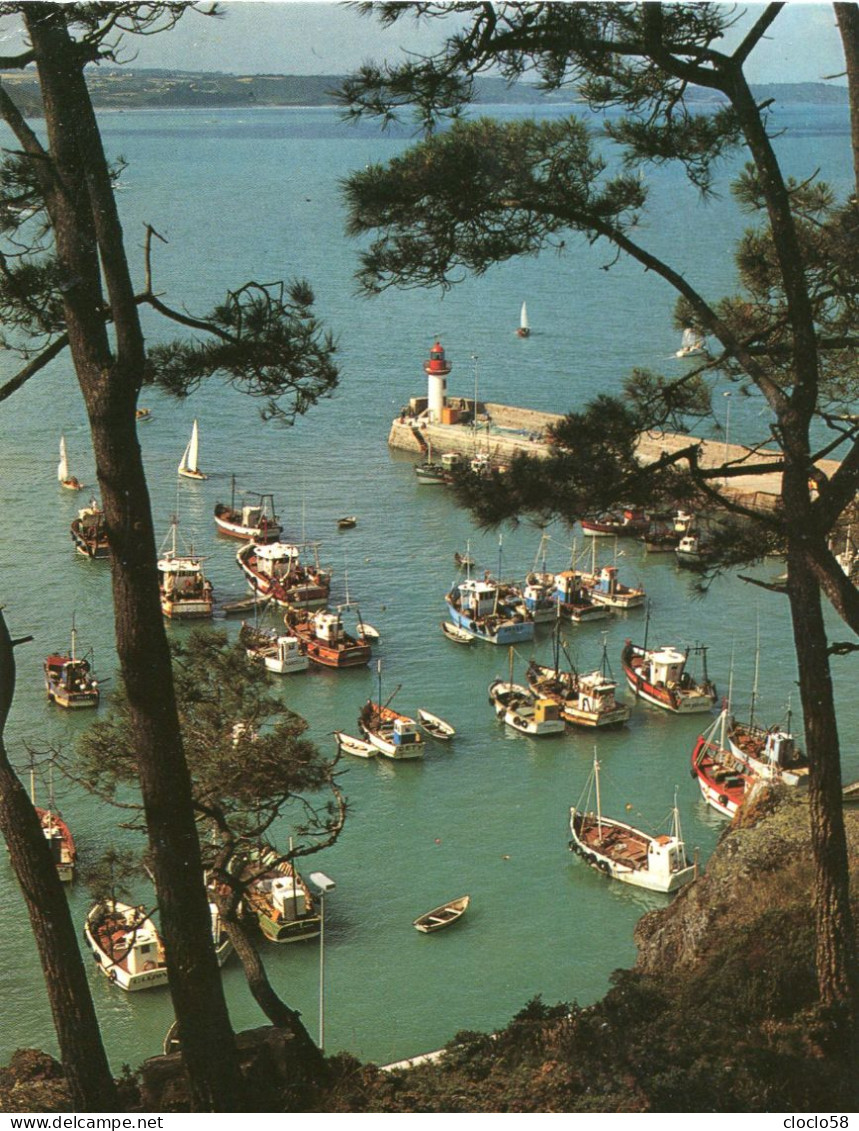 L A BRETAGNE PITTORESQUE LA DIGUE ET LE PETIT PORT - Autres & Non Classés