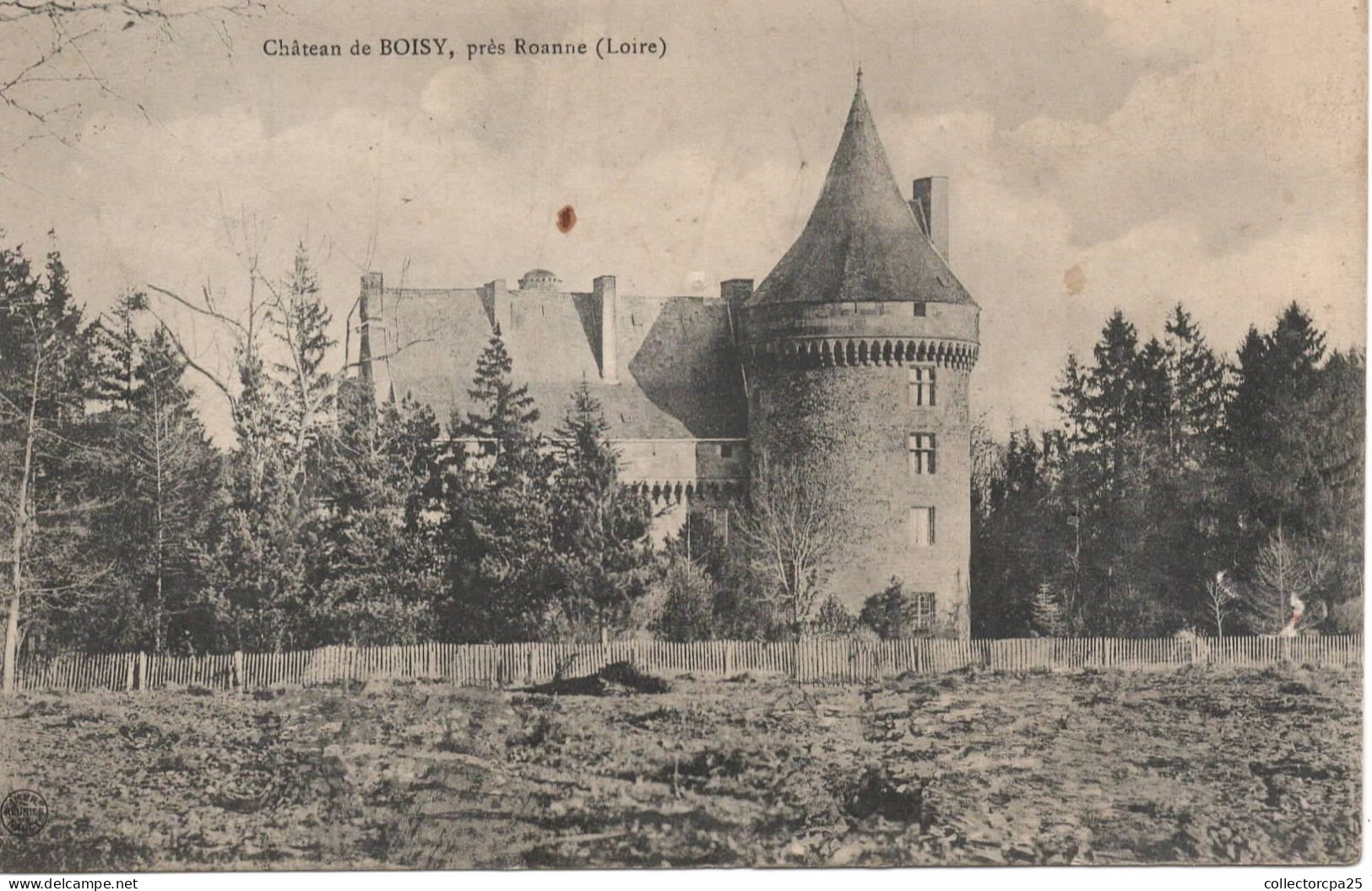 Château De Boisy , Près Roanne ( Loire ) - RARE !!! - Other & Unclassified