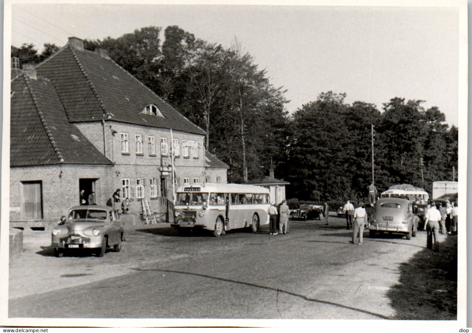 Photographie Photo Vintage Snapshot Amateur Automobile Voiture Krusa Danemark  - Orte