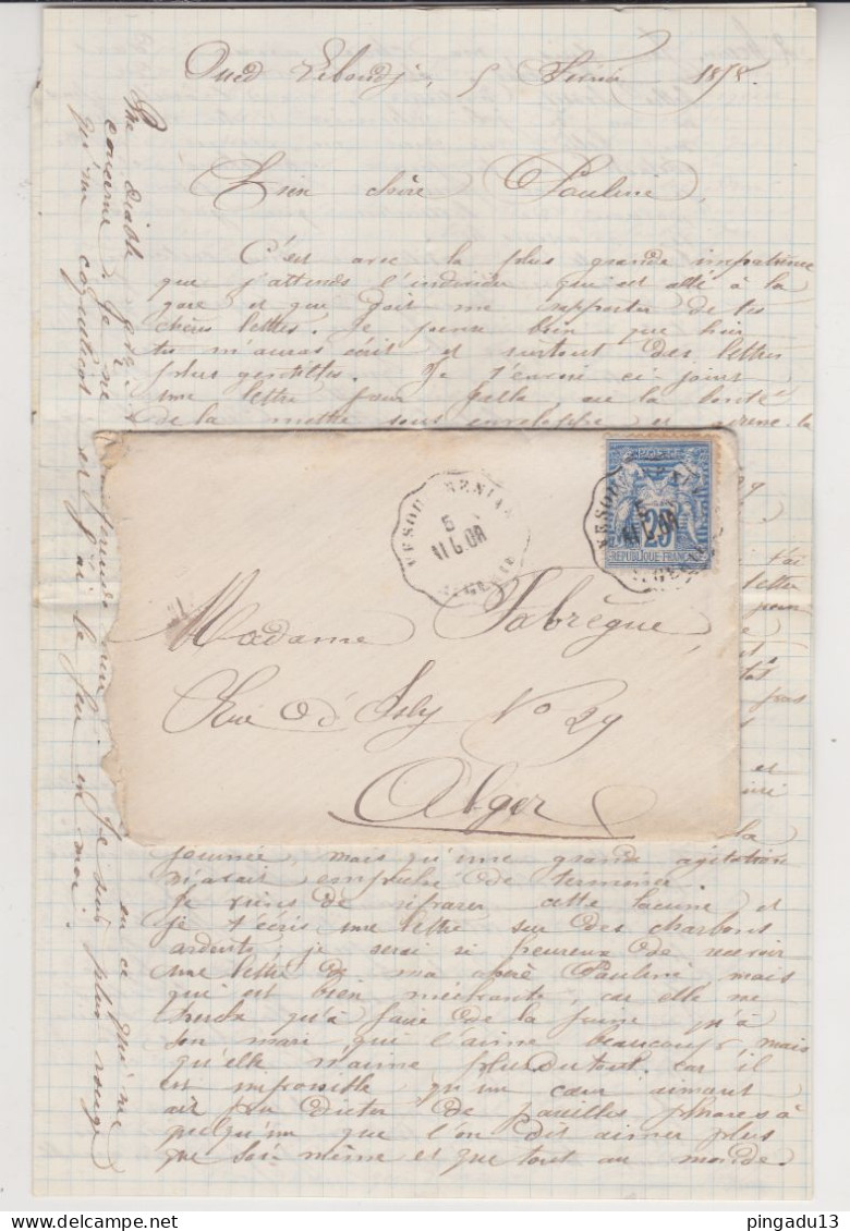 Algérie Type Sage Oued Zéboudj 5 Fév 1878 Vesoul Bénian Convoyeur ALG OR Pour Alger - 1877-1920: Période Semi Moderne