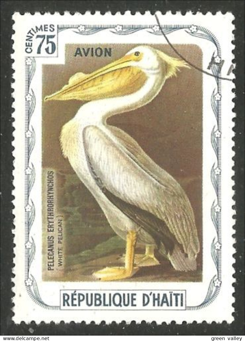 OI-206 Haiti Audubon Oiseaux Birds White Pelican Blanc - Pelikanen