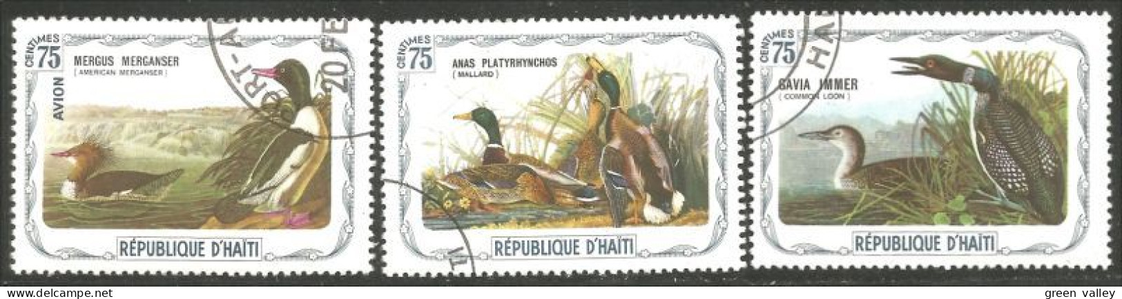 OI-203 Haiti Audubon Oiseaux Birds Canard Duck Ente Anatra Pato Eend Mallard Loon Huard - Other & Unclassified