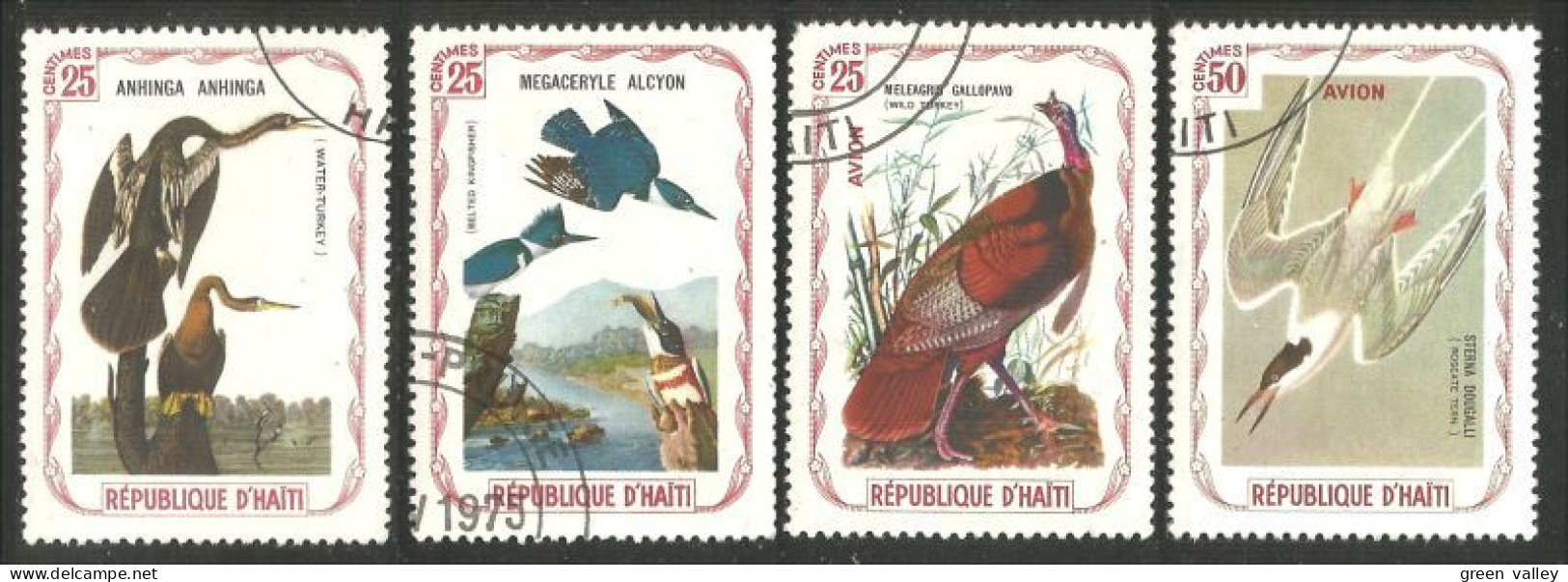 OI-199 Haiti Audubon Oiseaux Birds Dinde Turkey Cormoran Kingfisher Martin-pêcheur Mouette Seagull - Autres & Non Classés