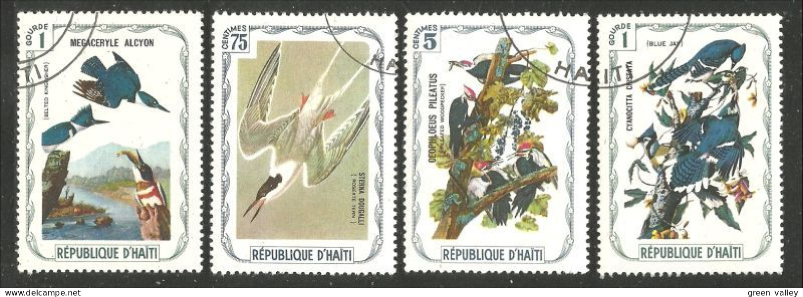 OI-209 Haiti Audubon Oiseaux Birds Kingfisher Martin-pêcheur Mouette Seagull Woodpecker Pivert Blue Jay Geai - Autres & Non Classés