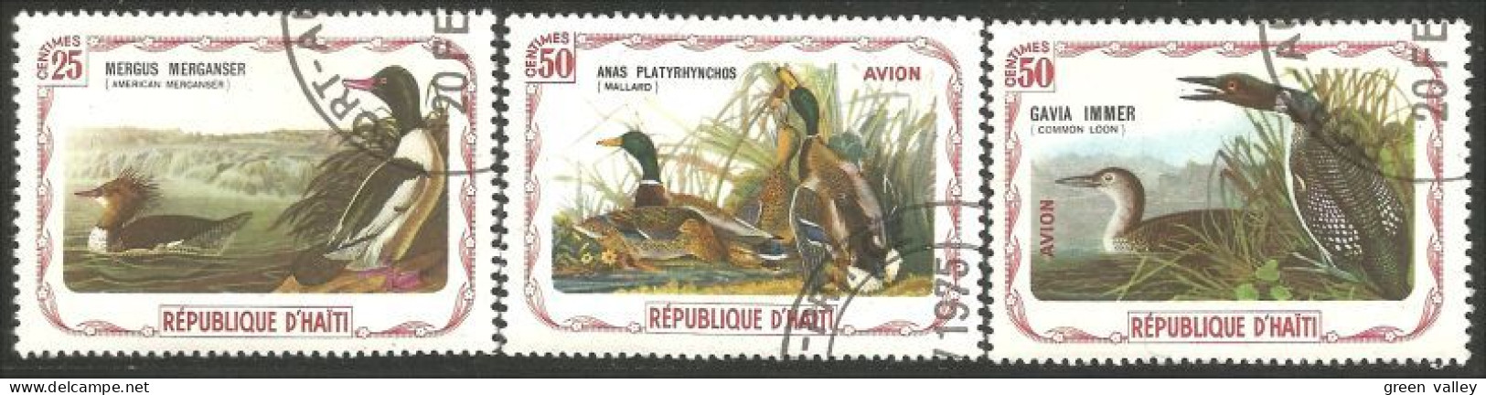 OI-198 Haiti Audubon Oiseaux Birds Canard Duck Ente Anatra Pato Eend Mallard Loon Huard - Altri & Non Classificati