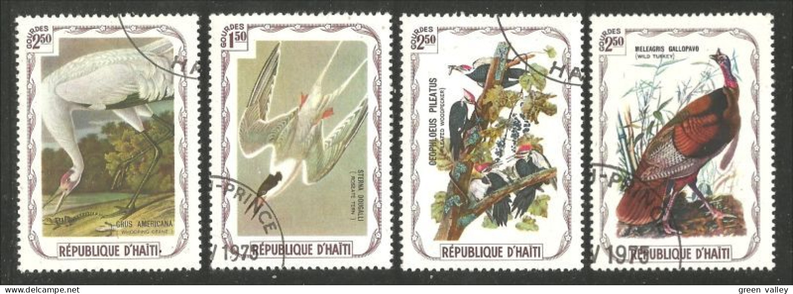 OI-197 Haiti Audubon Oiseaux Birds Sterne Tern Grue Egret Dinde Turkey Woodpecker Pivert - Altri & Non Classificati