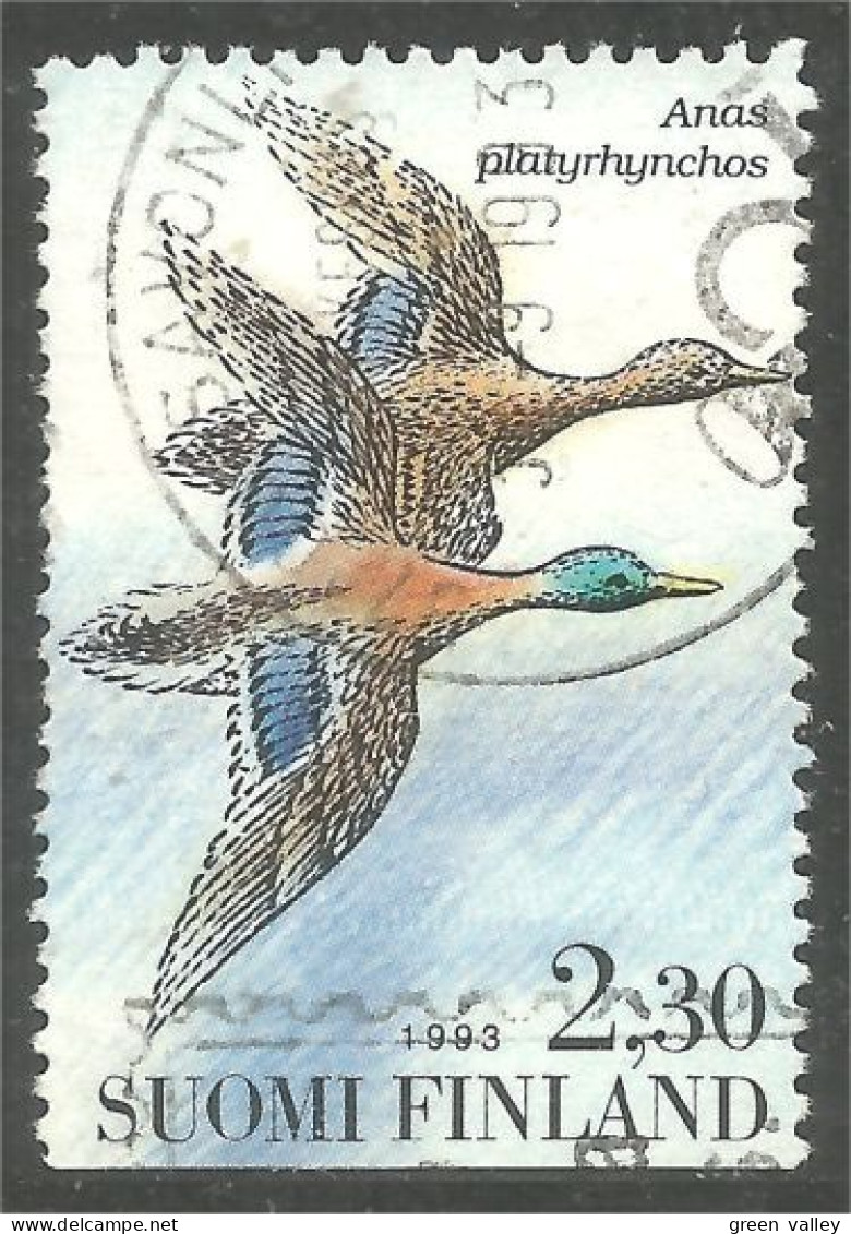 OI-180b SAVONLINNA Finland 1993 Oiseau Bird Canard Duck Ente Anatra Pato Eend - Autres & Non Classés